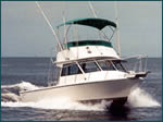 Punta Gorda
